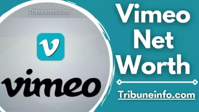 Vimeo Net Worth