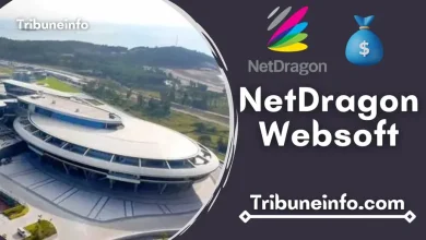 NetDragon Websoft Net Worth