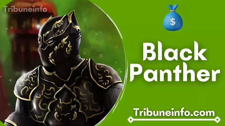 What is Black Panther's Net Worth